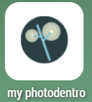 myPhotodentro Icon